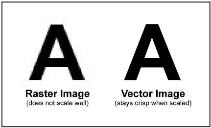 Image result for raster vs vector image